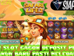 Link Slot Gacor Deposit Pulsa Bermain Game Safari Life 2 Akun Baru Pasti Meledak