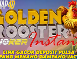 Link Gacor Deposit Pulsa Gampang Menang Gampang Jackpot Bermain Golden Rooster