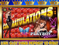 Link Slot Dana Deposit 10 Ribu Bermain Playboy Wilds