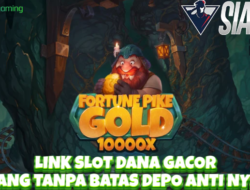 Link Slot Dana Gacor Menang Tanpa Batas Bermain Game Fortune Pike Gold 10000X